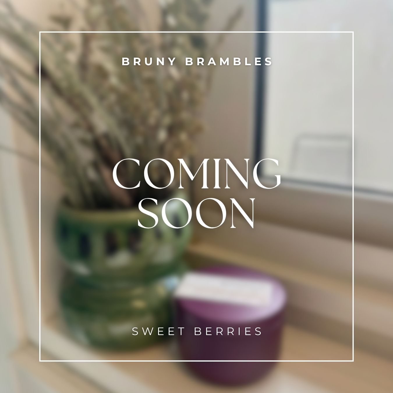 Bruny Brambles: Scents of Sweet Berries. Gift Tin