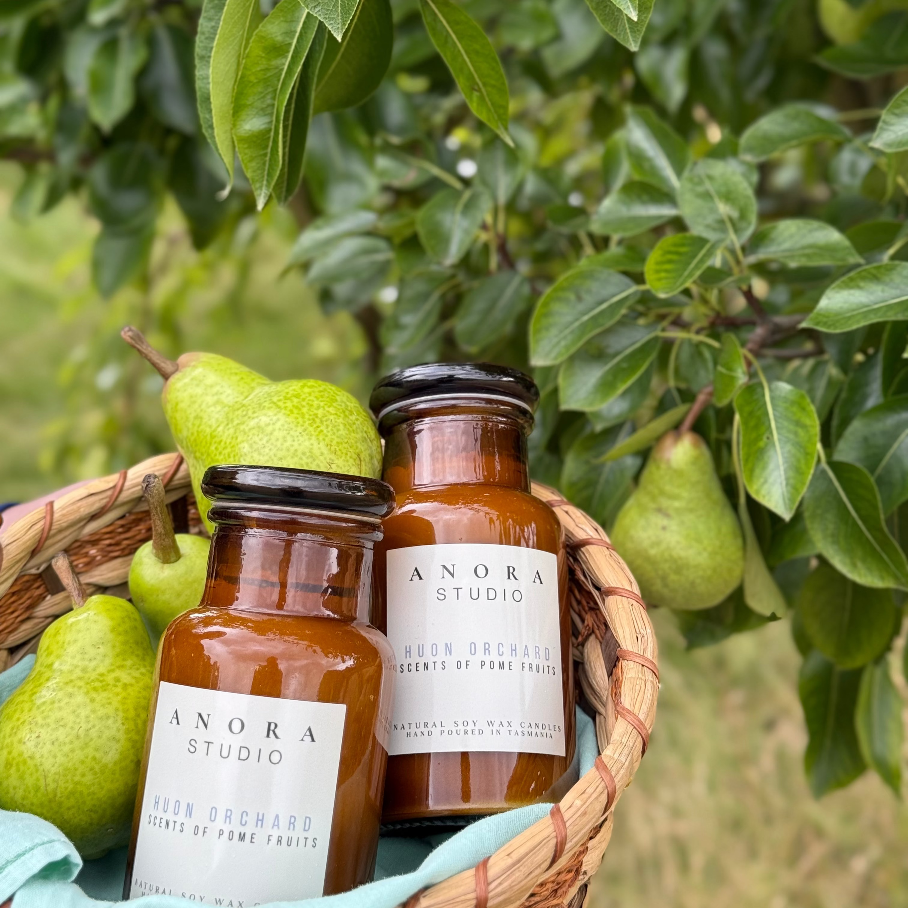 Huon Orchard: Scents of Pome Fruits